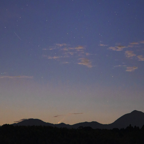 紫金山アトラス彗星