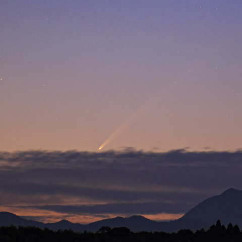 紫金山アトラス彗星