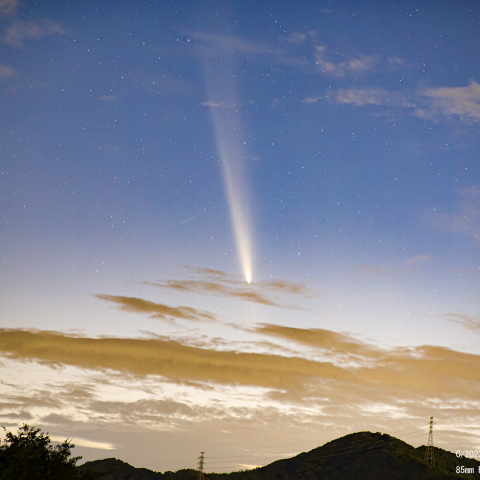 10月14日の紫金山・アトラス彗星