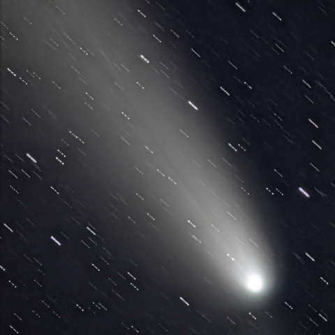 10月21日の紫金山・アトラス彗星