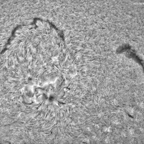 5月4日　4079群付近