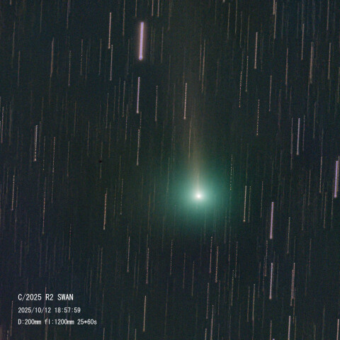 10月12日のSWAN彗星