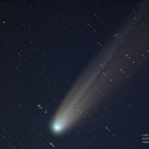 11月3日のLemmon彗星