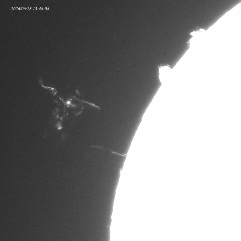 6月28日の太陽