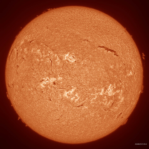 6月29日の太陽
