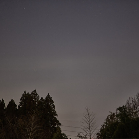 12月20日のレナード彗星