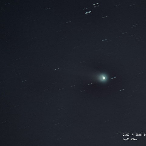 12月20日のレナード彗星　再処理