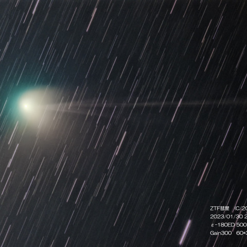 1月30日深夜のZTF彗星（C/2022 E3)