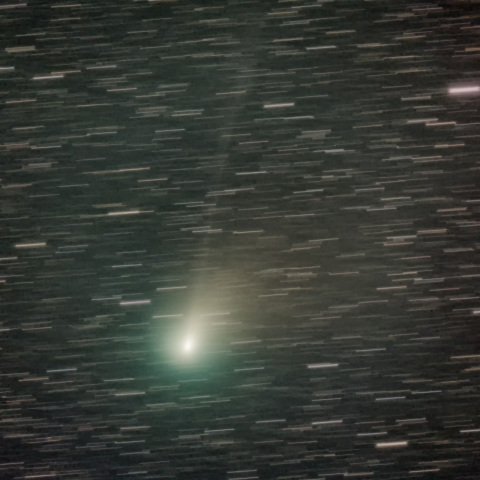 ２月5日のZTF彗星（C/2022 E3)