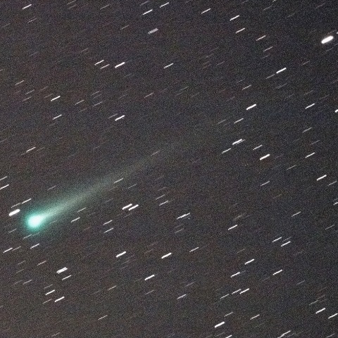 11月6日のアイソン彗星