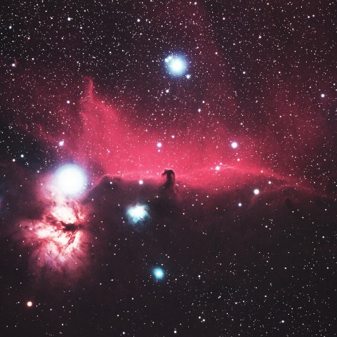 今年の干支に因んで馬頭星雲