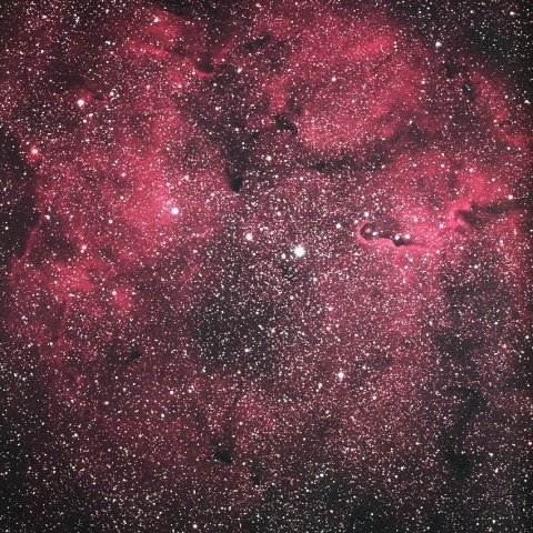 ケフェウス座のIC1396