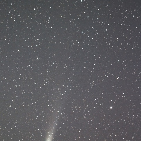 11日のラヴジョイ彗星（C/2013R1)