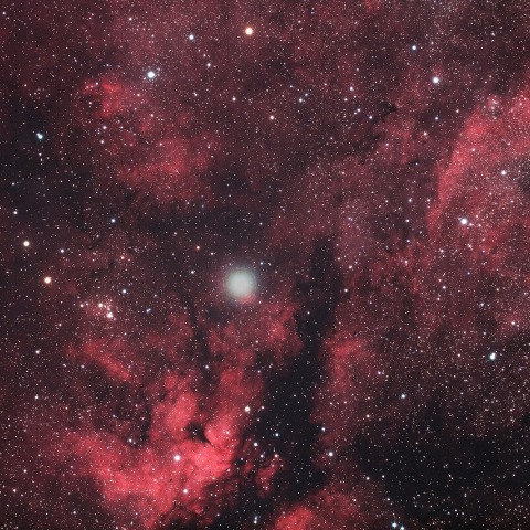 はくちょう座γ星付近