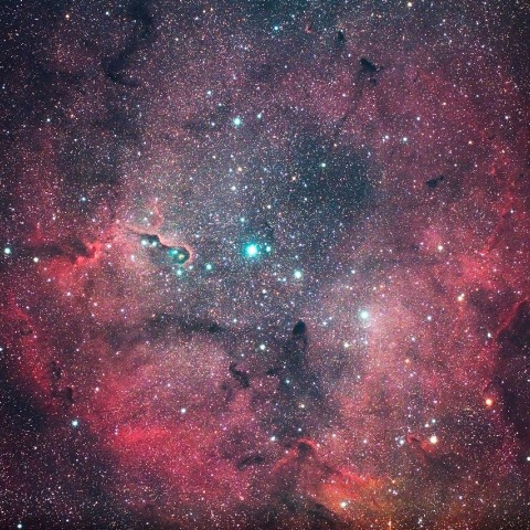 多彩な色を持つIC1396