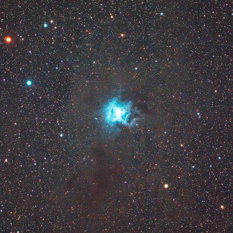 夜空に浮かぶアイリスの花