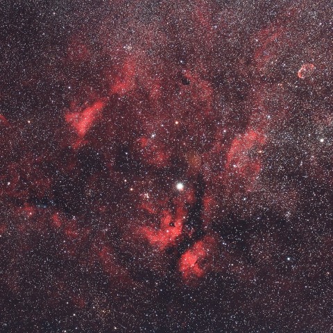 シグマ150ｍｍF2.8による白鳥座γ星付近の散光星雲