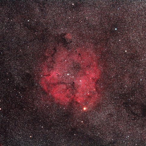 シグマ150ｍｍF2.8によるIC1396散光星雲