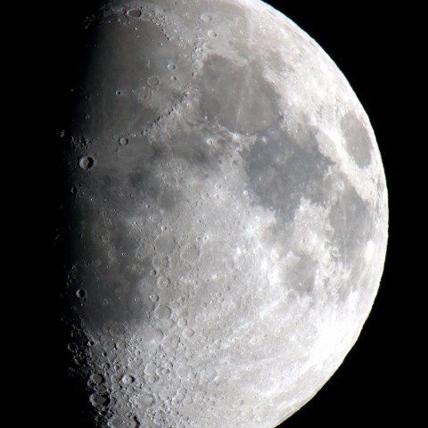 半月（月齢9.5）