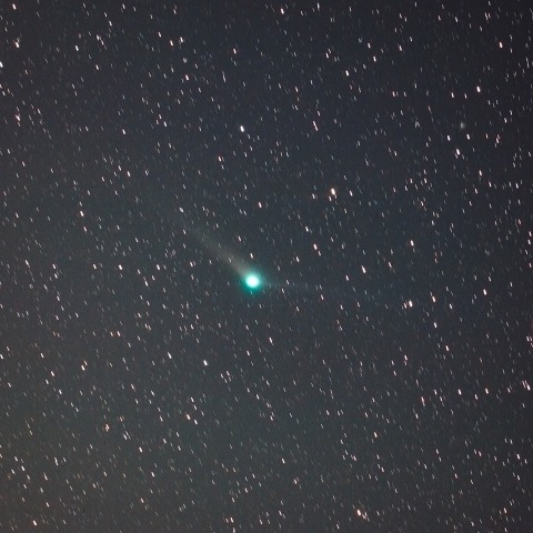 アンチテイルが見事なパンスターズ彗星