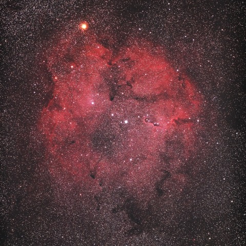 IC1396（ケフェウス座の散光星雲）