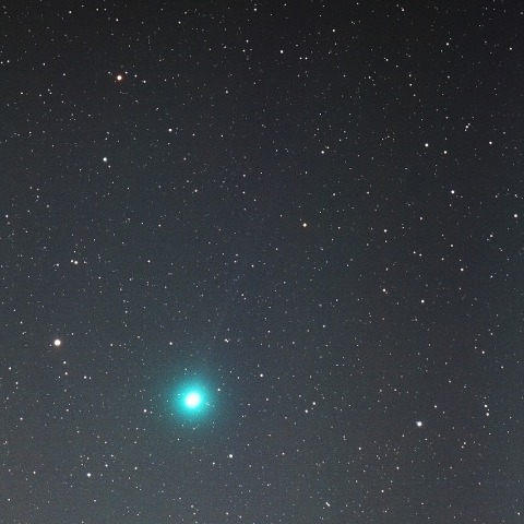 増光中のラブジョイ彗星（C/2014 Q2）