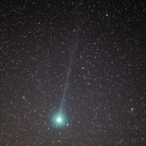 ラブジョイ彗星（C/2014 Q2)