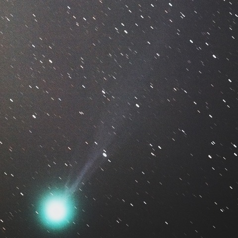 活発化するラブジョイ彗星