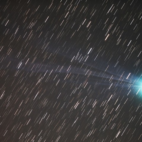 ラブジョイ彗星（C/2014 Q2)