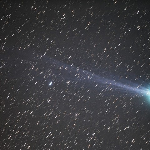 美しい尾に成長したラブジョイ彗星