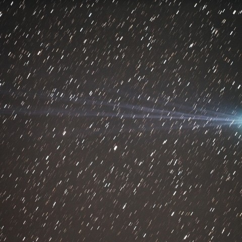 イオンテールが見事なラブジョイ彗星