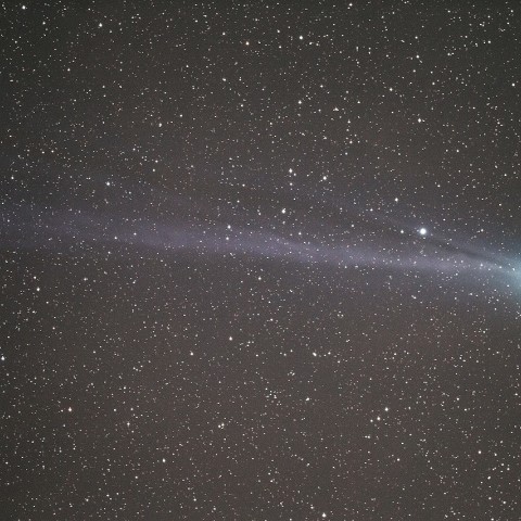 イオンテールが濃いラブジョイ彗星