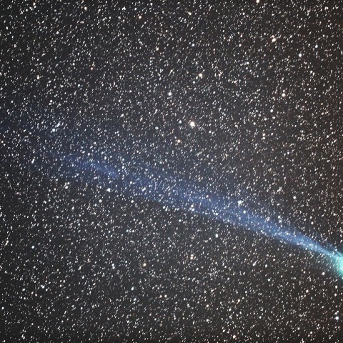 ひげの生えたラブジョイ彗星