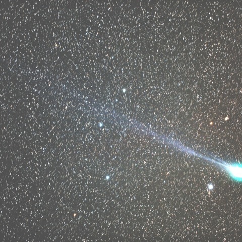 V字に広がるイオンテールのラブジョイ彗星（C/2014 Q2)