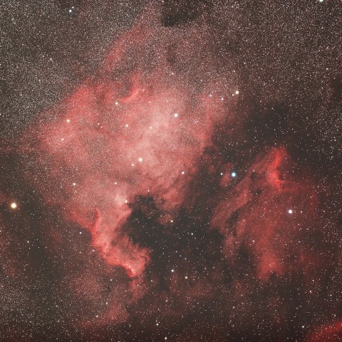 北アメリカ星雲＆ペリカン星雲コラボ