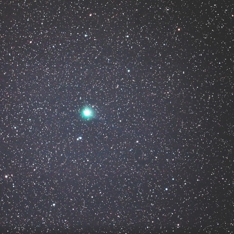 周極星のラブジョイ彗星