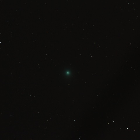 1月10日のラブジョイ彗星