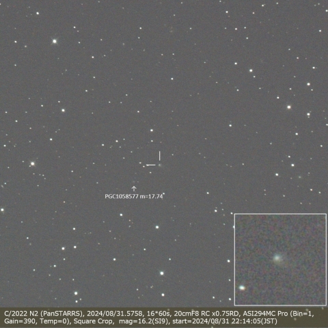 C/2022 N2 (PanSTARRS)
