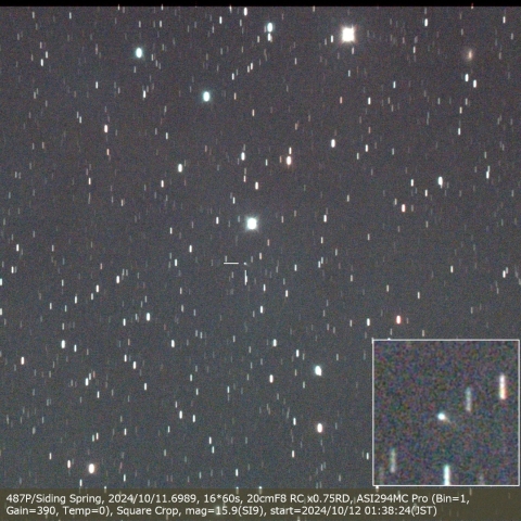 487P/Siding Spring