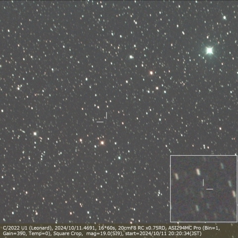C/2022 U1 (Leonard)