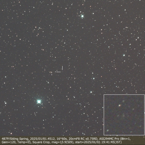 487P/Siding Spring