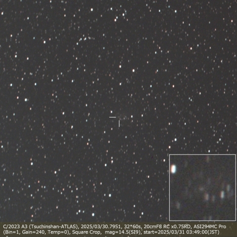 特集 紫金山・アトラス彗星(C/2023 A3) - 天体写真ギャラリー 特集 紫金山・アトラス彗星(C/2023 A3) - 天体写真ギャラリー