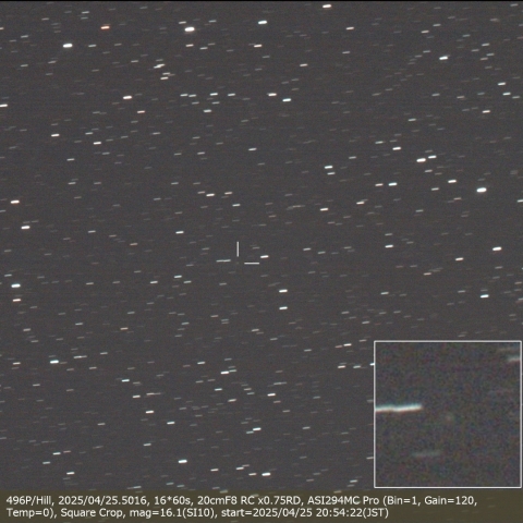 496P/Hill