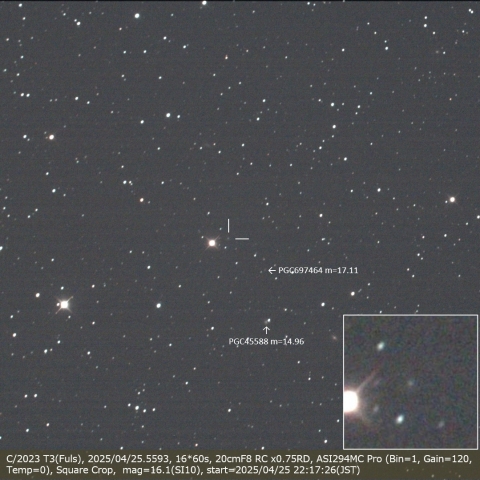 C/2023 T3(Fuls)