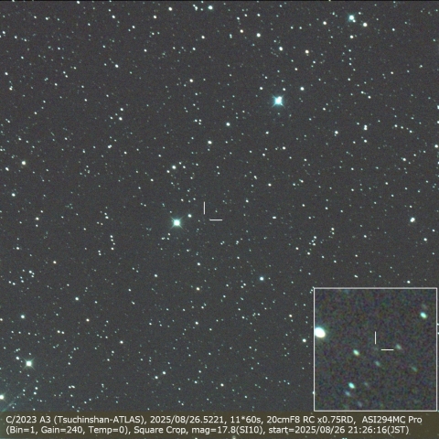 114183: 紫金山・アトラス彗星 (C/2023A3) 2024/11/02 by T