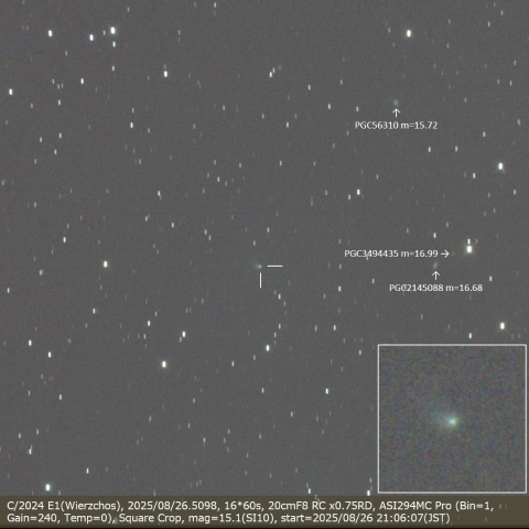 C/2024 E1(Wierzchos)