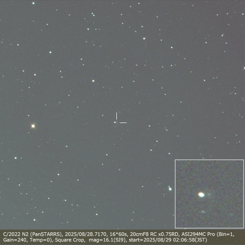 C/2022 N2 (PanSTARRS)
