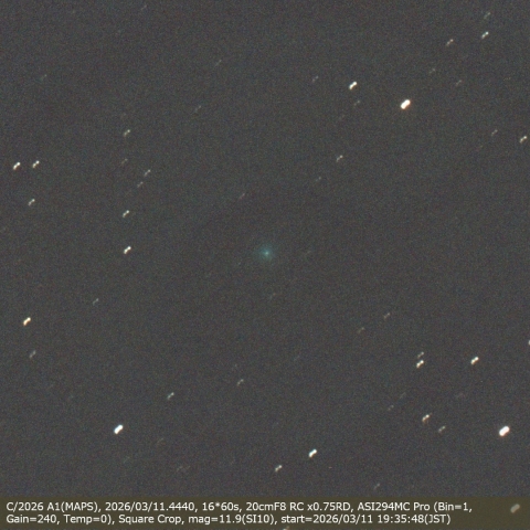 C/2026 A1(MAPS)