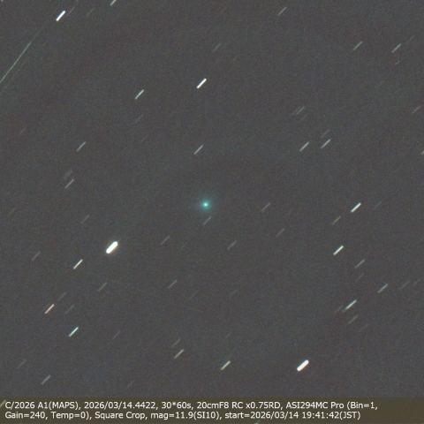 C/2026 A1(MAPS)