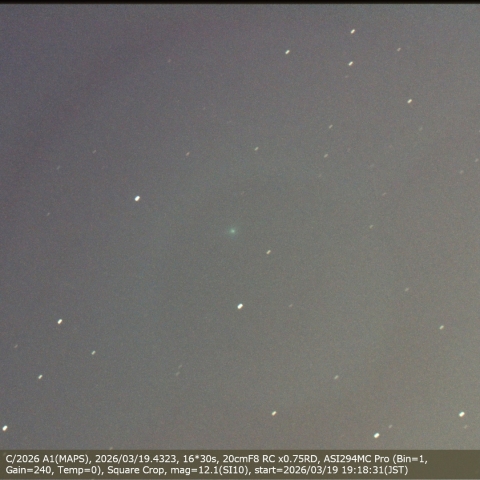 C/2026 A1(MAPS)
